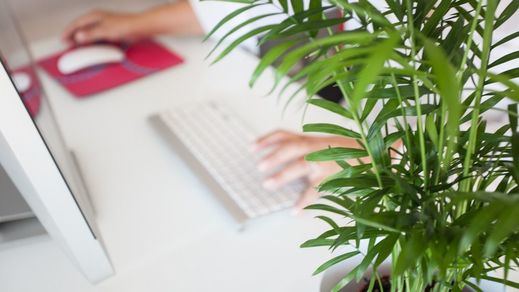 Los errores más comunes en los currículums vitae y cómo evitarlos