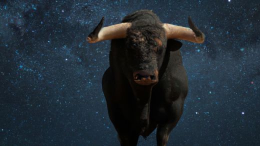 Tauro bajo las estrellas 