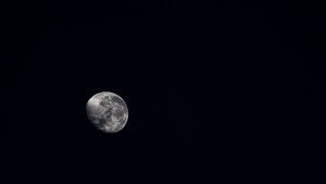 La Tierra contará con 2 lunas durante unas semanas: ¿cuándo y por qué?