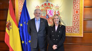 El Constitucional da la razón a una madre que no dejaba que su marido maltratador viera a su hija