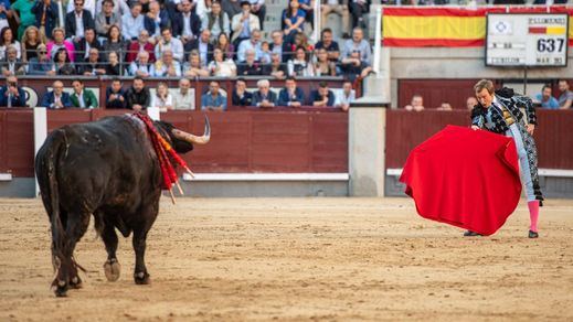 Román cita desde lejos a su primer toro.