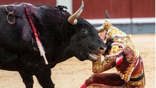El primer toro de Roca le hirió en la pierna derecha y luego le caló la chaquetilla.