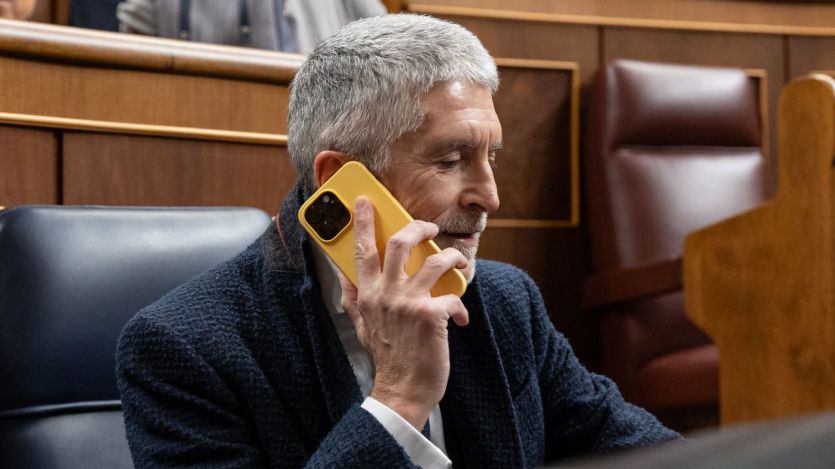 El ministro Marlaska, en el Congreso