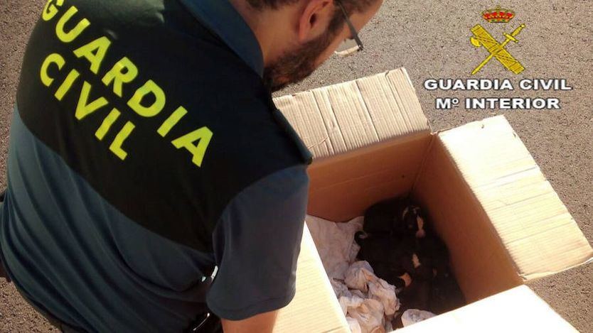 Un agente de la Guardia Civil