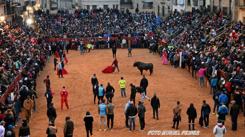 Ciudad Rodrigo: el Carnaval del Toro, una festividad única en la que el Toro y el Disfraz van unidos de la mano