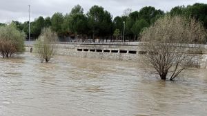 Fotos de la espectacular crecida del río Manzanares en Madrid: al límite del desborde