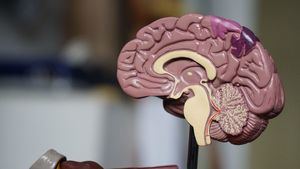 Europa aprueba el primer medicamento para el Alzheimer: detiene su progreso y reduce sus daños