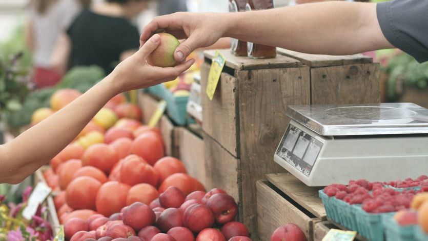 Consigue tu Carnet y Certificados de Manipulador de Alimentos en Minutos en España