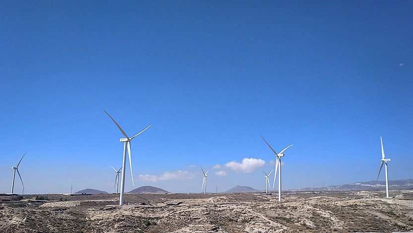 Parque eólico