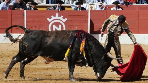 Uno de los magníficos naturales de Damián Castaño al primer toro del festejo.