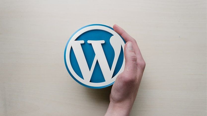 Plugins imprescindibles y hosting recomendado para mejorar el rendimiento de WordPress