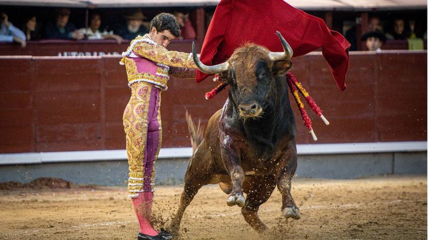 Uno de los estatuarios con los que Víctor Hernández inició su faena al último del festejo.