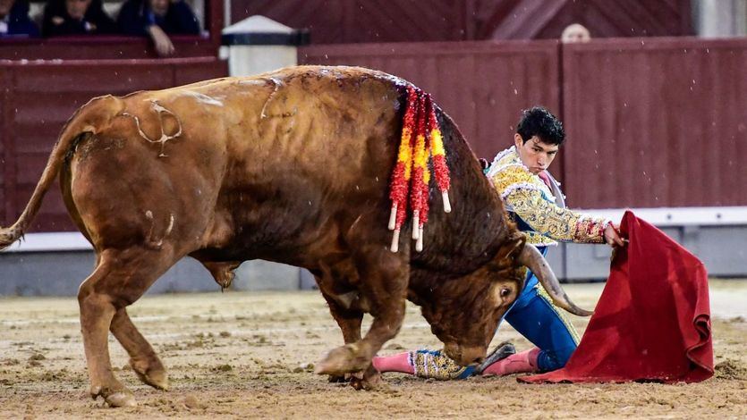 Isaac Fonseca en el inicio de rodillas de su faena a 'Brigadier', al que cortó una oreja.