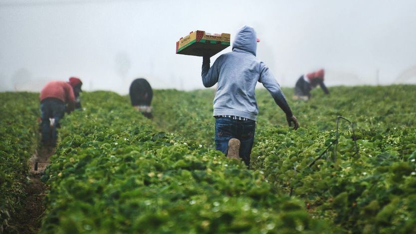 Inmigración