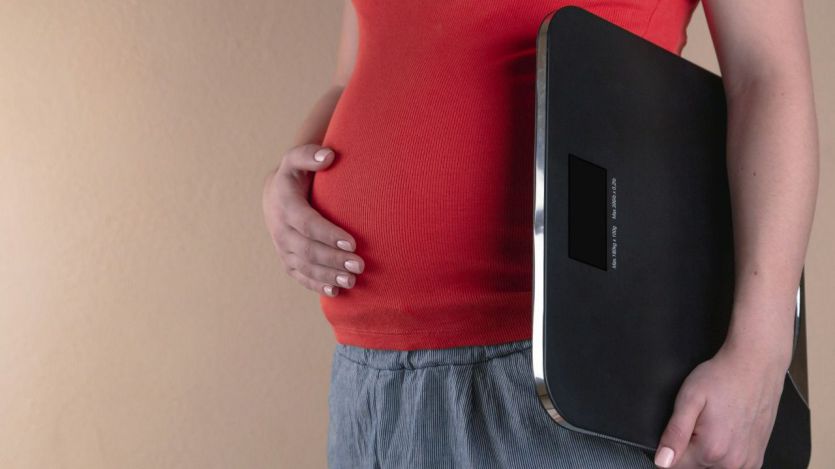 La grasa abdominal