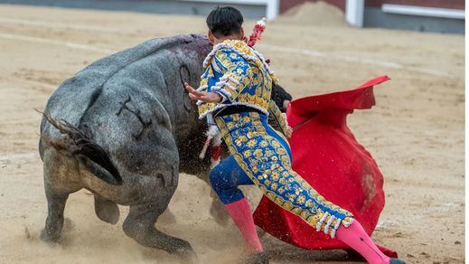 Gómez del Pilar comenzó su faena al quinto, premiada con una oreja, doblándose por bajo.