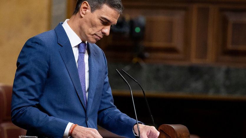 Sánchez, en el Congreso