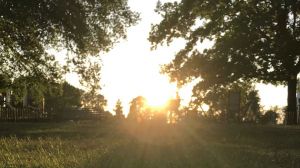 Sol y verano