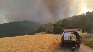 El incendio en Cataluña podría quedar hoy controlado tras una mejoría en las últimas horas