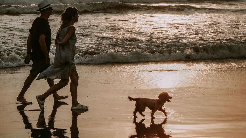 Paseando por la playa