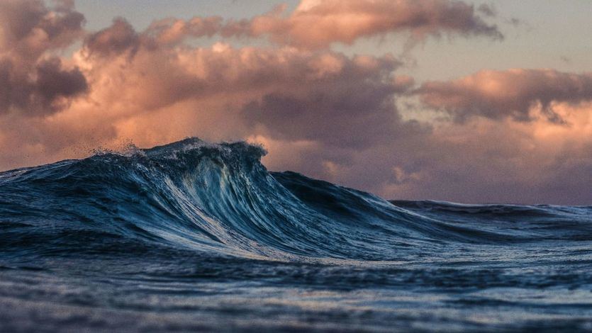 Tsunami y alertas por terrremoto