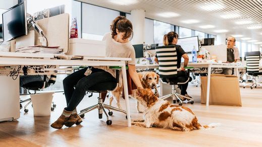 Perros en el trabajo