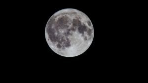 La 'Superluna del Esturión' 2025: guía para disfrutarla y cómo verla