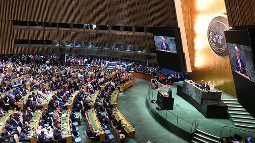 Asamblea General de la ONU