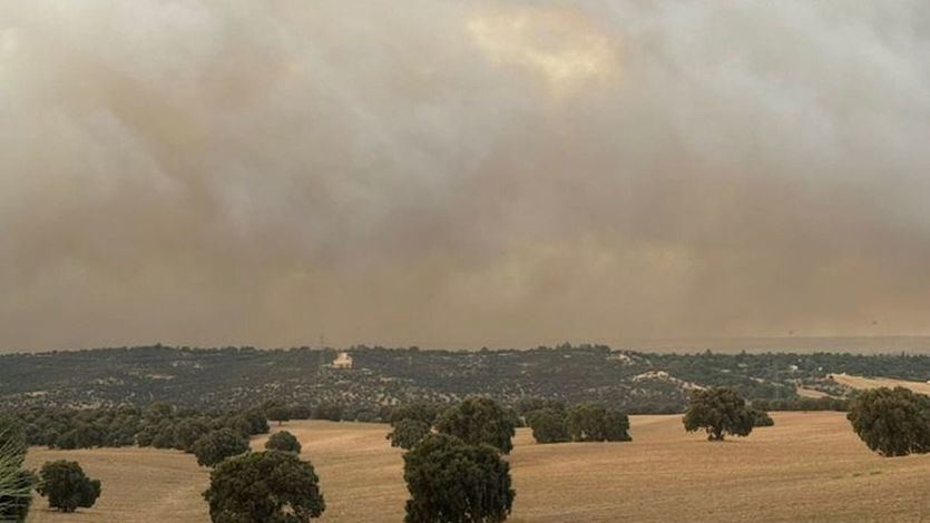 Imagen de la humareda del incendio en Tres Cantos