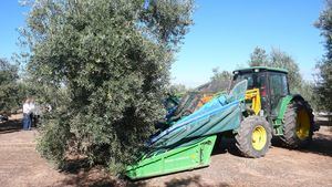 Muere un temporero en Lleida en plena ola de calor mientras trabajaba en una finca a 40º