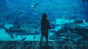 Ritual de amor para Acuario: cómo atraer o retener una pareja