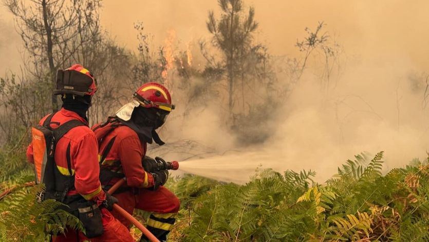 Bomberos de la UME