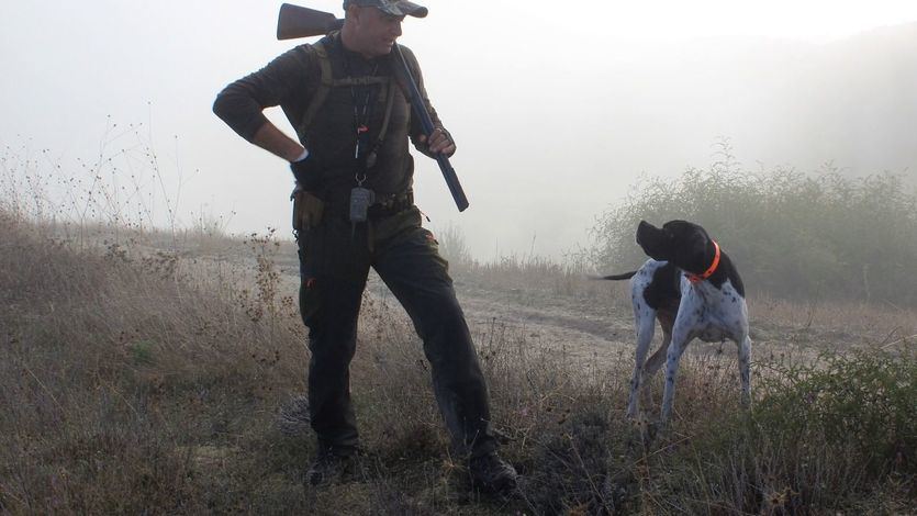 Perro de caza