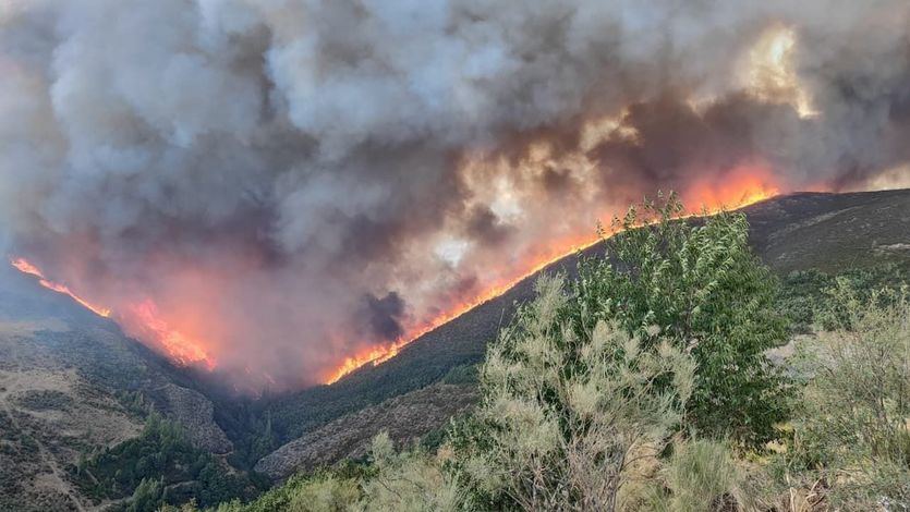 Incendio en Igüeña