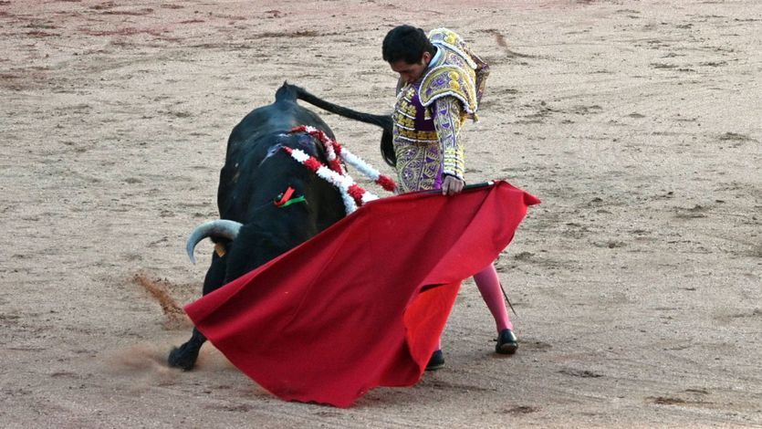 Un momento de la actuación de Juan Pablo Ibarra.