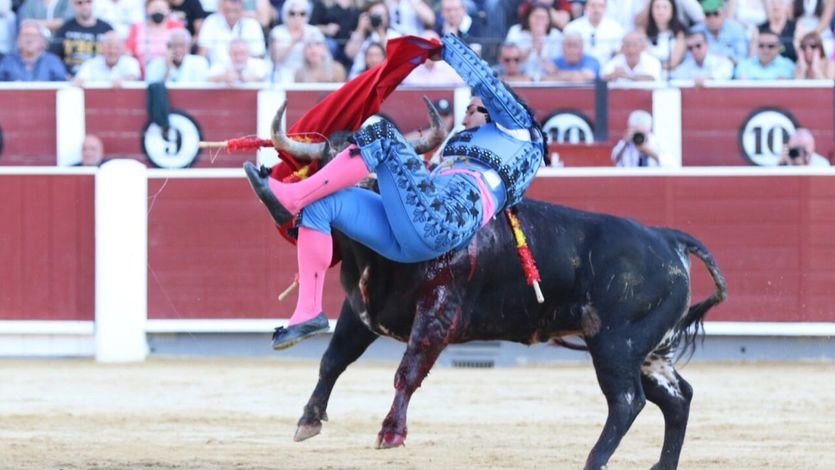 Un momento de la cogida de Alejandro Quesada en el tercero de la tarde.