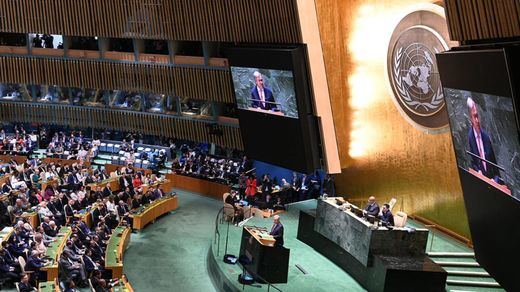 Asamblea General de la ONU