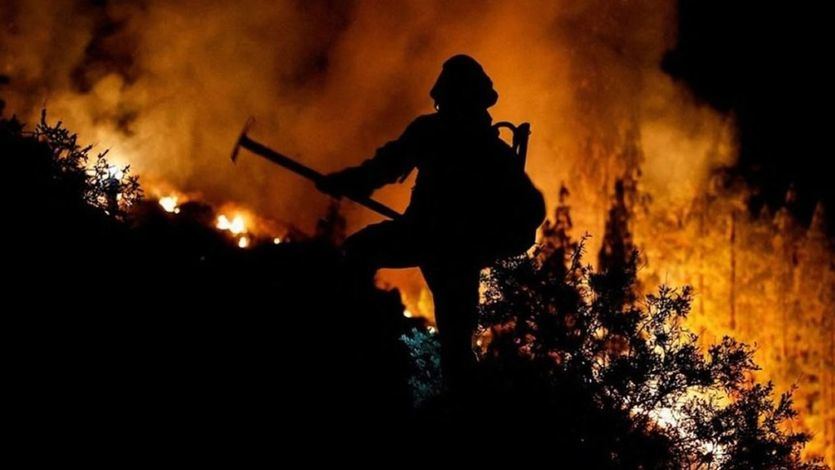 Bombero trabajando en un incendio forestal