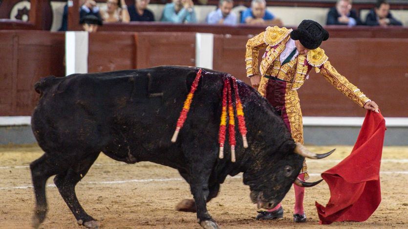 Un momento de los intentos de faena de Jarocho al último toro de la pésima corrida.