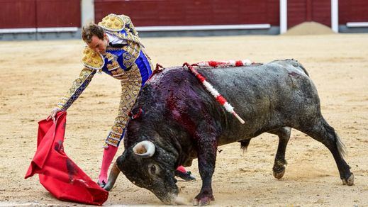 Pase en redondo de Román al victorino del que cortó una oreja.