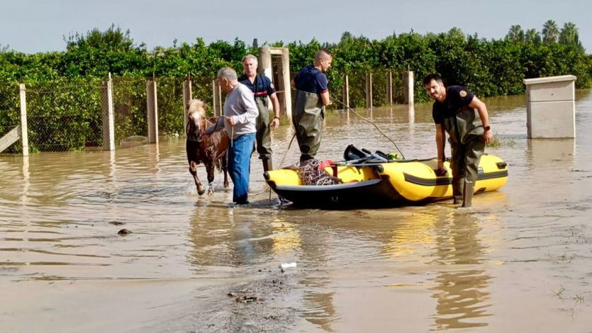 Inundaciones de Valencia por la DANA