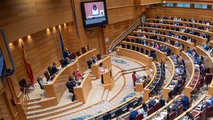 El Senado aprueba que no se pueda pagar en efectivo ni dietas ni retribuciones