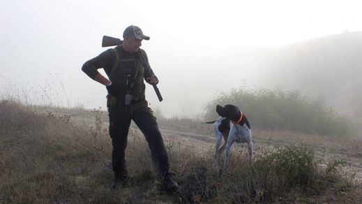 Perro de caza