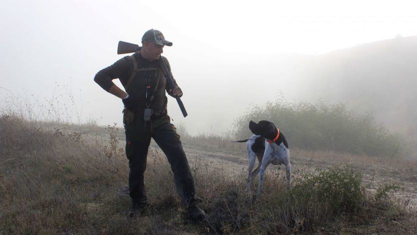 Perro de caza