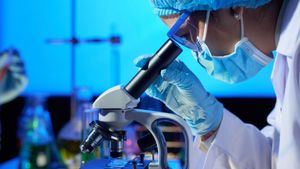 El Gobierno investiga si es posible que el origen del brote de peste porcina saliera de un laboratorio