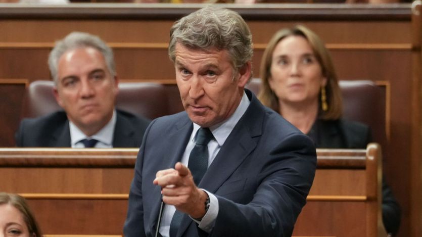 Alberto Núñez Feijóo interviene en el Pleno del Congreso