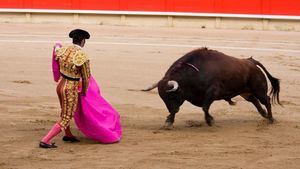 El Gobierno, dispuesto a prohibir la entrada de menores en las corridas de toros