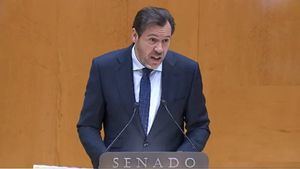 Puente, en el Senado: la vía de Adamuz estaba renovada porque no implica "levantarla entera"