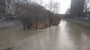 Las imágenes de las crecidas de los ríos en Madrid: peligro absoluto en el Jarama, el Manzanares lleno...
