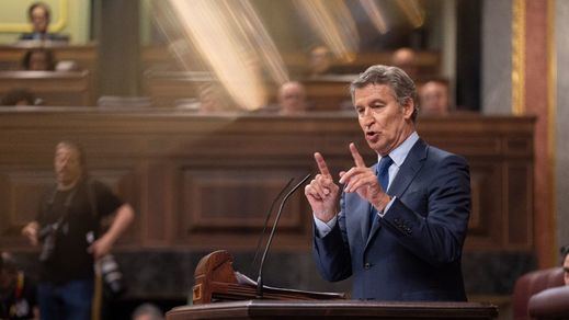 Alberto Núñez Feijóo, en el Congreso